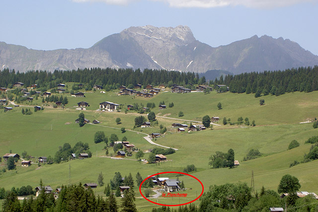 l'environnement en été