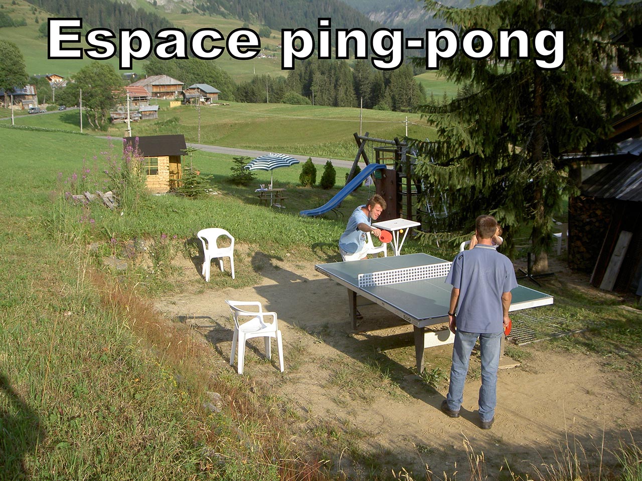 Table de ping-pong